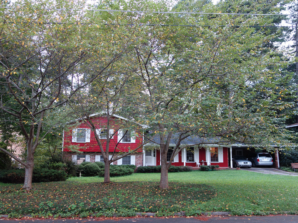 Our house - a 1965 split-level ranch