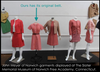 60s John Meyer of Norwich Shirtwaist Dress - same dress, on exhibit