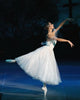 Example of a professional dancer in similar tutu
