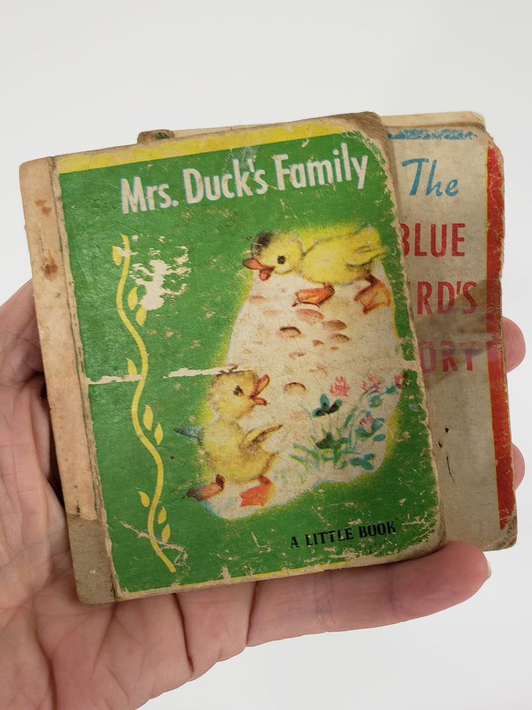 Mrs. Duck's Family and The Blue Bird's Story - A Little Book